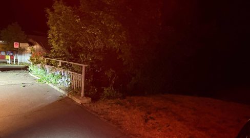 Villmergen AG: Promillefahrer setzt Opel in Gebüsch – Unfall