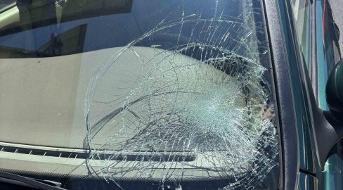 Reinach AG: Jaguar-Lenker (71) erfasst Fussgänger (60) Unfall