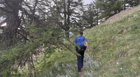 Naters VS: Unfall – Wanderer (70) stirbt nach Sturz