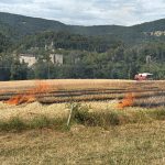 Soyhières JU: 5000 m² Strohfeld in Brand – Grossaufgebot