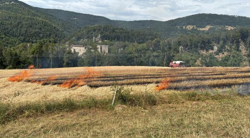 Soyhières JU: 5000 m² Strohfeld in Brand – Grossaufgebot