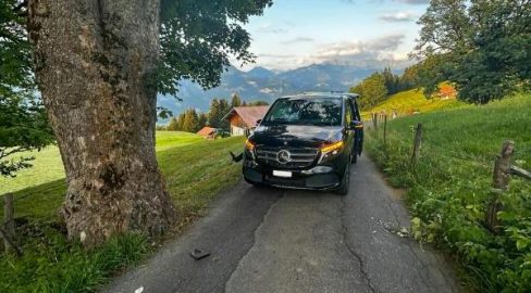 Unfall in Brienz BE: Auto kracht frontal in Baum – 7 Verletzte