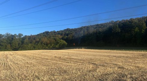 Birr AG: Asthaufen gerät am Waldrand in Vollbrand
