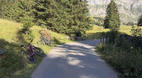 Urnäsch AR: E-Bikerin stürzt bei Unfall in Böschung