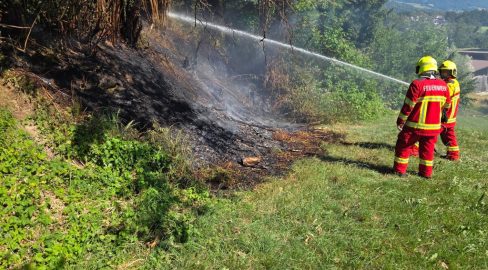 Uetliburg SG: Äste lösten Brand an Böschung Schneckenbühl aus