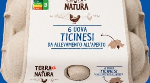 Lidl ruft Eier wegen Salmonellen zurück