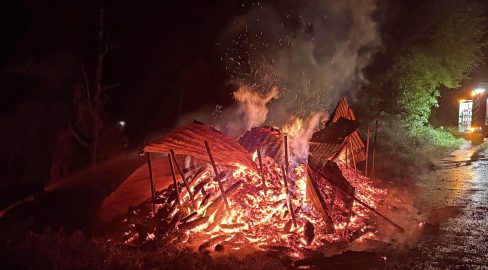 Triengen LU: Holzbeige brennt, Feuerwehr stoppt Waldbrand