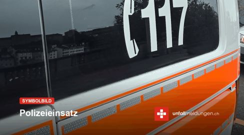 Genf GE: Polizei zeigt Fotos von sichergestelltem Schmuck