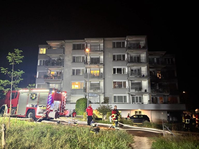 Schaffhausen SH: Feuer-Drama im Riet fordert 11 Verletzte