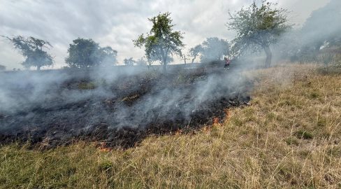 Beggingen SH: Funken bei Mäharbeiten lösen Wiesenbrand aus