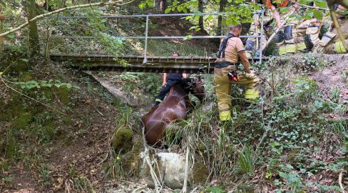 Baar ZG: Pferd stürzt von Brücke und wird per Heli gerettet