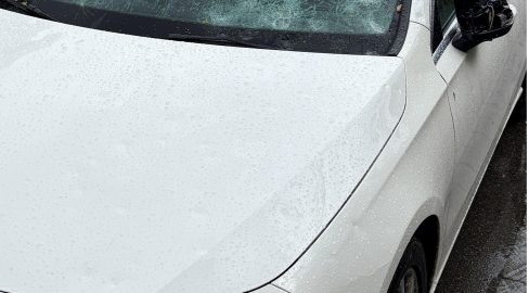 Seuzach ZH: 40 Verletzte bei Hagel-Drama, mehrheitlich Kinder