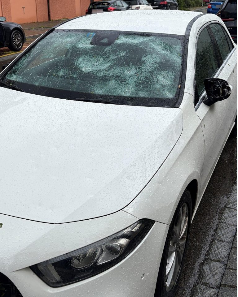 Seuzach ZH: 40 Verletzte bei Hagel-Drama, mehrheitlich Kinder