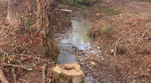 Waldkirch SG: Baugrube verschmutzt Rüerenbächli
