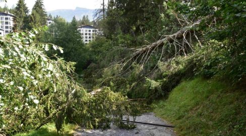 Laax GR: Baum trifft Wanderer, Unfall endet im Spital