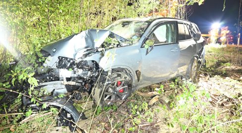 Mels SG: Auto schleudert auf A13 in Bäume, teurer Unfall