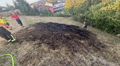 Bazenheid SG: Zigarettenstummel setzt Wiese in Brand