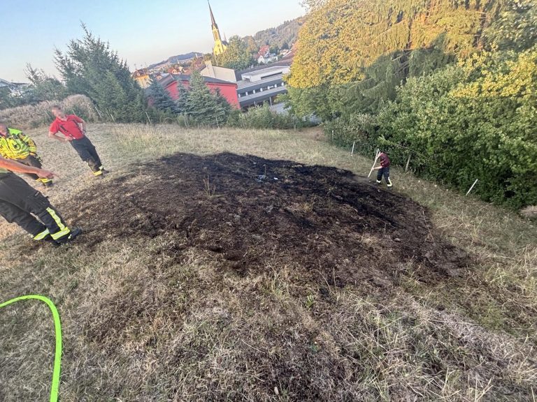 Bazenheid SG: Zigarettenstummel setzt Wiese in Brand
