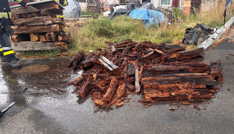 Engwilen TG: Holzbeige fängt Feuer, Feuerwehr rückt aus