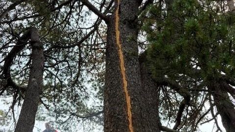 Unteriberg SZ: Blitzeinschlag löst Brand aus, Heli im Einsatz