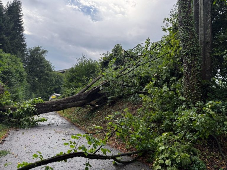 St. Gallen SG: Unwetter wütet, Feuerwehr 25-mal im Einsatz