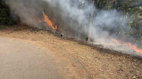 Freiburg FR: Feuer im Freien ab sofort wieder erlaubt