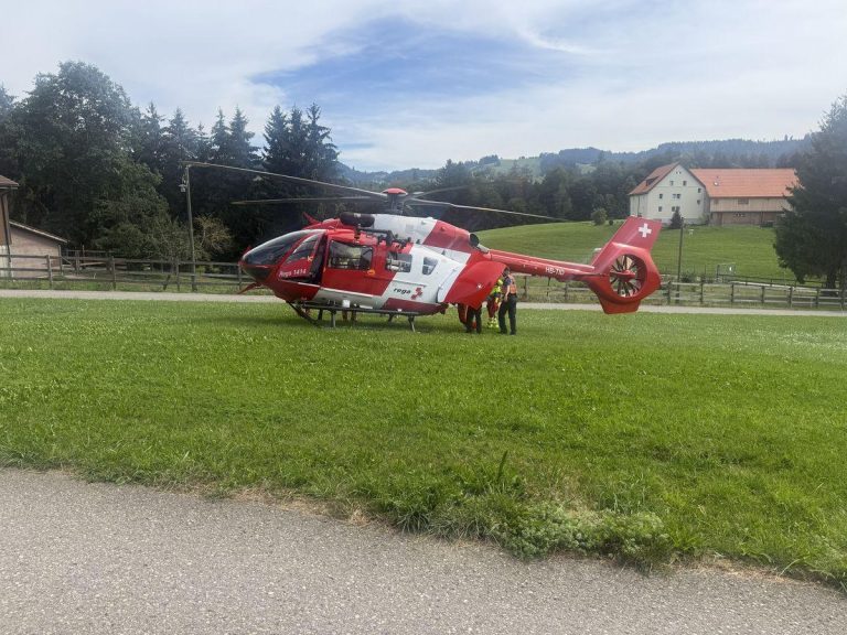 Speicher AR: Mädchen (11) stürzt vom Pony, Rega nach Unfall