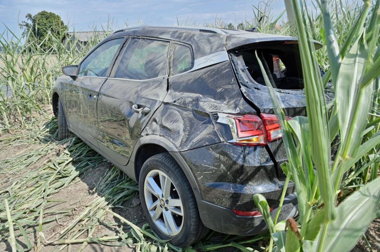 Grosswangen LU: Promillelenker (62) baut Unfall im Maisfeld