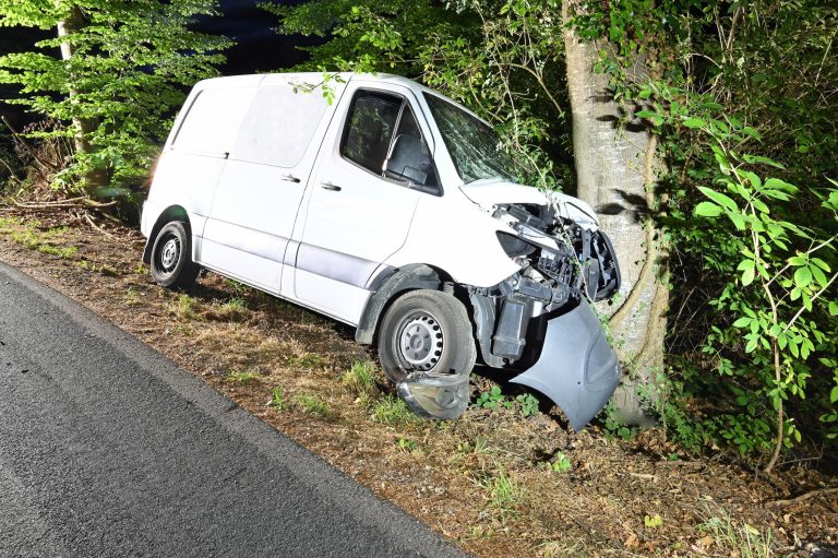 Reiden LU: Promillefahrer kracht bei Unfall in Baum