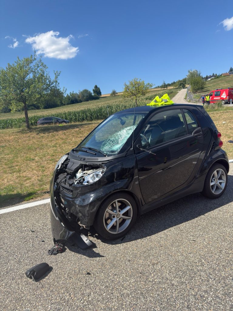 Kölliken AG: E-Roller-Lenker (83) stirbt nach Unfall mit Smart