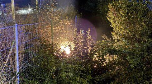 Wil SG: Feuerwehr löscht Heckenbrand nahe A1