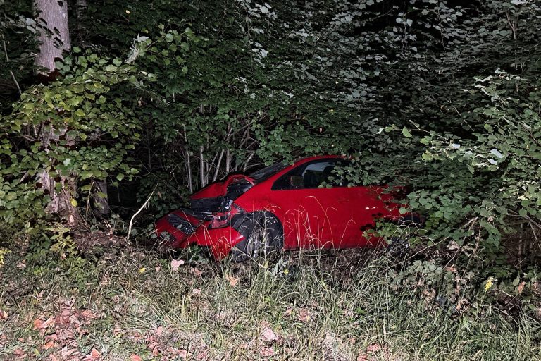 Hägendorf SO: Lenker (18) baut Unfall: Insasse schwer verletzt