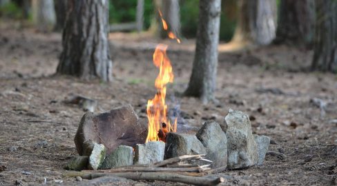 FR: Trotz Regen bleibt Lage kritisch, Feuerverbot gilt