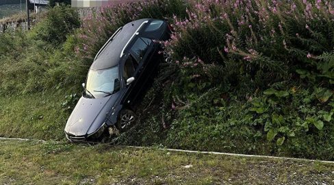 Hospental UR: Hund spürt Lenker mit 1 Promille nach Unfall auf