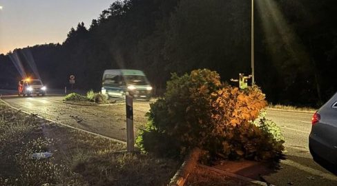 Bubendorf BL: Mercedes-Lenker (21) rammt Baum bei Unfall