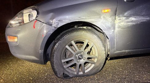Wängi TG: Lenkerin schläft auf A1 ein und baut Unfall