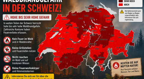 [UPDATE] Hohe Waldbrandgefahr in der Schweiz – aktuelle Lage