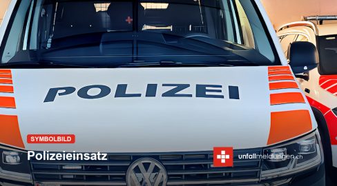 A2 Basel - Luzern: Verkehrsbehinderung bei Sissach wegen Tieren