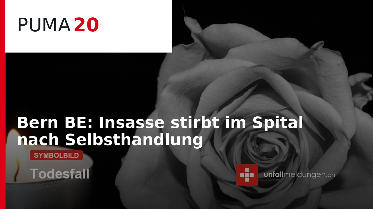 PUMA20 vom 25. August 2026: Die 5 meistgeklickten Polizei- und Unfallmeldungen des Tages – im Video