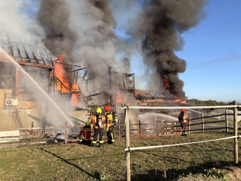 Mörschwil SG: Brand-Inferno zerstört zwei Scheunen