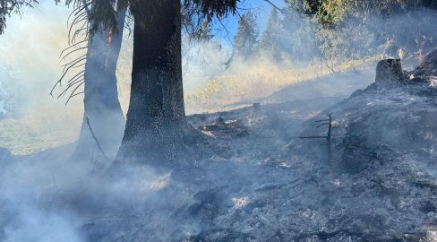 Alt St. Johann SG: Mottbrand löst Feuer im Wald aus