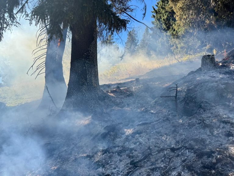 Alt St. Johann SG: Mottbrand löst Feuer im Wald aus