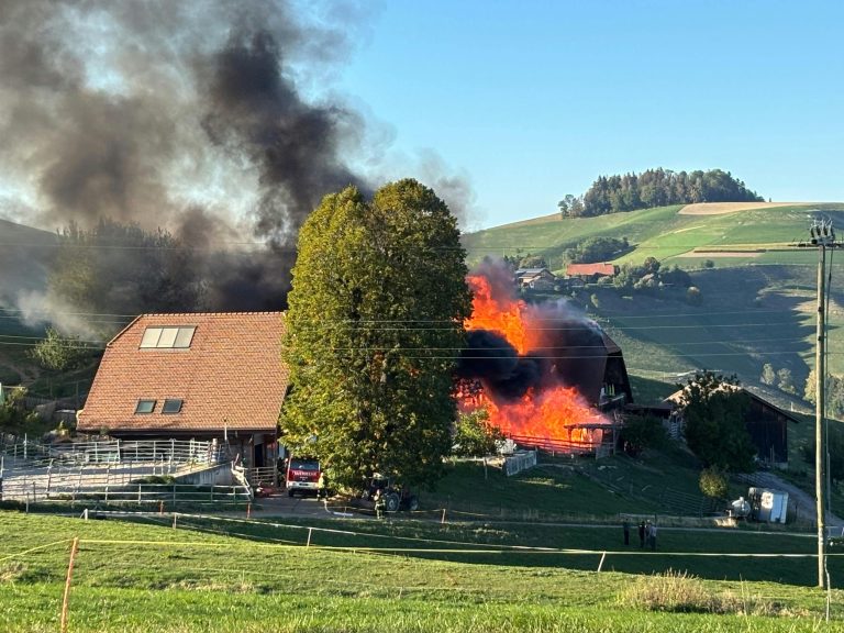 Hinterfultigen BE: Brand zerstört Bauernhaus komplett