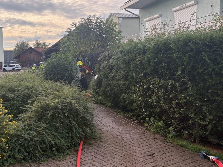 Flawil SG: Abflammgerät setzt Hecke in Brand