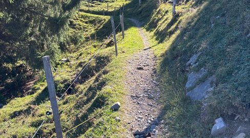 Filzbach GL: E-Biker (75) stirbt nach Unfall auf Biketrail