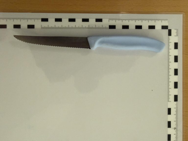 St. Gallen SG: Polizei stoppt Macheten-Mann und Frau mit Messer