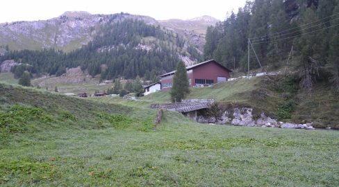 Cröt GR: Jäger hält Pferd für Hirsch und erschiesst es