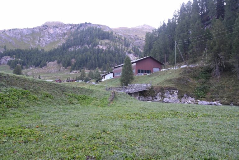 Cröt GR: Jäger hält Pferd für Hirsch und erschiesst es