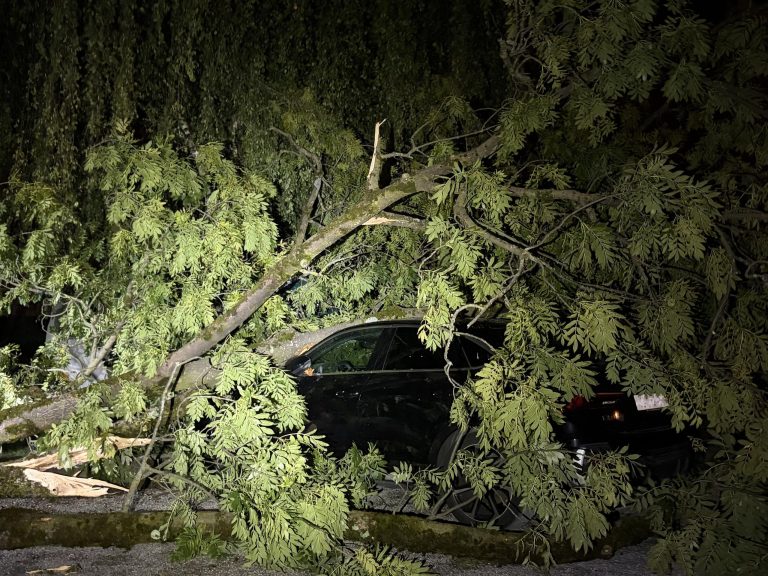 Goldach SG: Baum stürzt bei Gewitter auf parkiertes Auto
