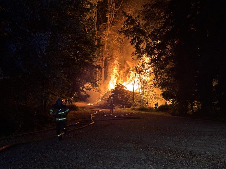Romanshorn TG: Blitzschlag setzt Altholzlager in Brand